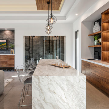 Paradise Valley Contemporary