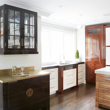 River Forest Modern Exotic Wood Kitchen
