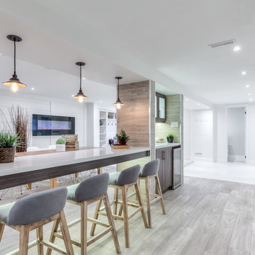 Thornhill Basement Design and Renovation