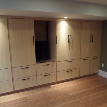 1880's Limestone Basement Remodel