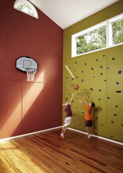 Transitional Home Gym by Designing Solutions