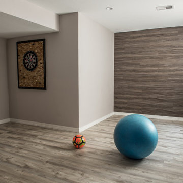 Boulder Basement Finish