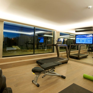 Contemporary Home Gym