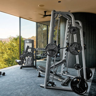 Idee per una palestra in casa design con pareti grigie, moquette e pavimento grigio