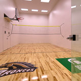 Sports Court Traditional Home Gym Grand Rapids By Visbeen Architects