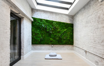 World of Design: The Joy of Moss and Its Modern Uses