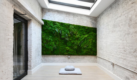 World of Design: The Joy of Moss and Its Modern Uses