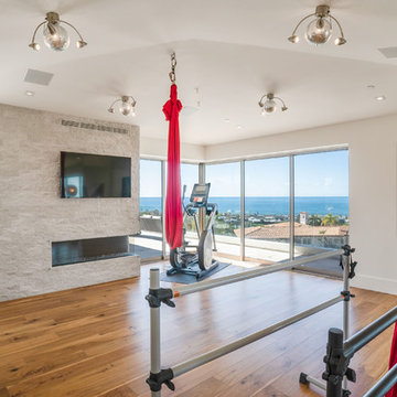 Modern Manhattan Beach