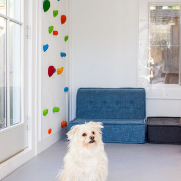 Monkeying Around! Garage Reno!