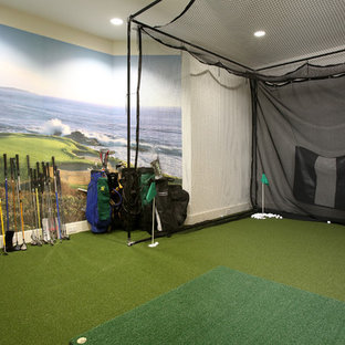 Ispirazione per un campo sportivo coperto contemporaneo con pareti multicolore e pavimento verde