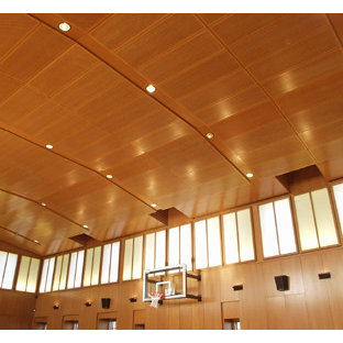 Indoor Basketball Court: Ideas & Photos