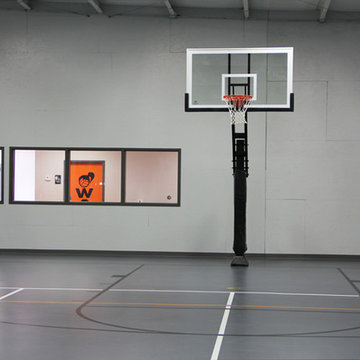 Pro Dunk Platinum Basketball System