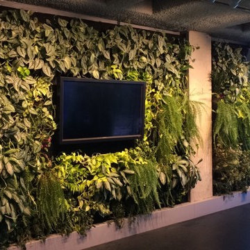 Urban Jungle Interior Plant Wall