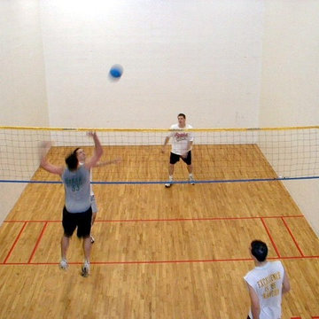 Wallyball