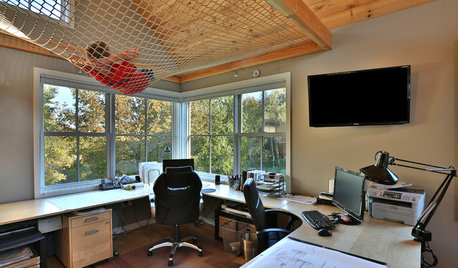 See Why This Architect's Office Has a Built-In Safety Net