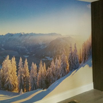 Austria snow Wall Mural