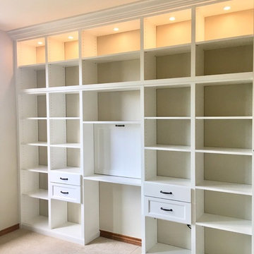BASEMENT WALLBED & BOOKCASE UNIT WITH FLIP DOWN DESK