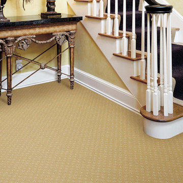 CARPET CLEANING GOLD COAST