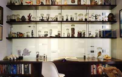 Ideabook 911: A Professional Office at Home