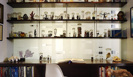 Ideabook 911: A Professional Office at Home