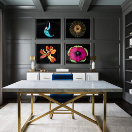 https://www.houzz.com/photos/chic-library-transitional-home-office-dc-metro-phvw-vp~103098198