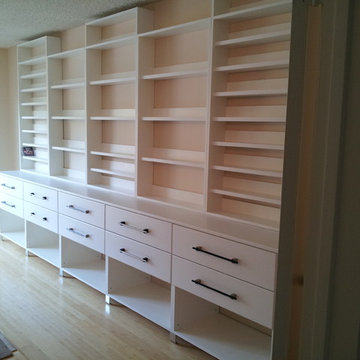 Custom  Wall Unit  for CD's & Books