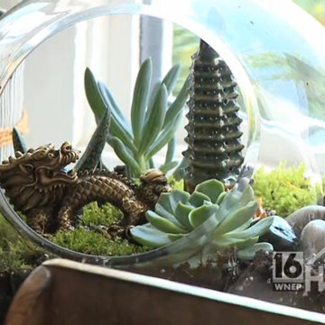 Featured - Bucks County Designer House and Gardens 2016: Channel 16 WNEP