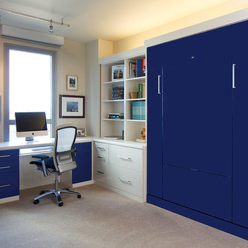 Home Office and Guest Room