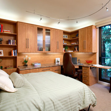 Home Office- Guestroom