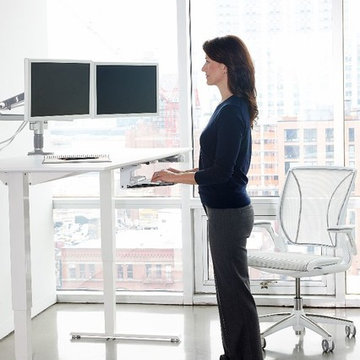 Humanscale Diffrient World Chair and Float Desk