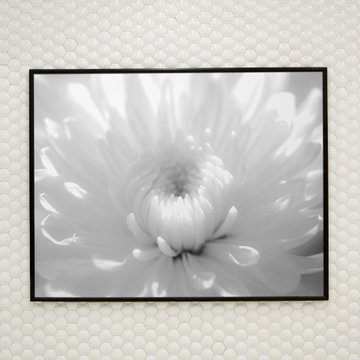 Infrared Flower 2 Black and White Floral Wall Art Print