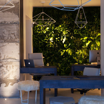 Living Wall, Stoke Newington, London