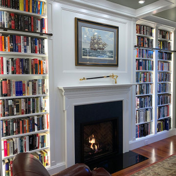 Modern Gas Insert Fireplace