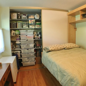 Murphy Bed Office / Guest room