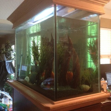 Oak trim work, fish tank