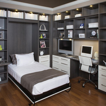Office/Guest Room Combo