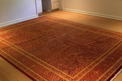 Our Showcase of Rug
