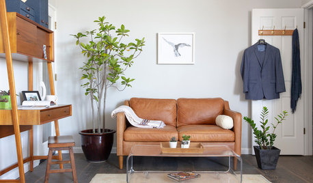 How to Organise Your Living Room on Almost Any Budget