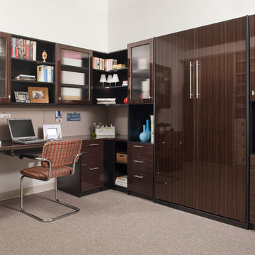 Panel Murphy Bed In A Home Office