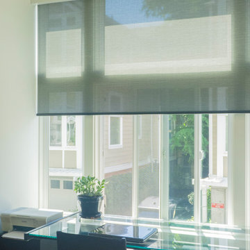 Qmotion Motorized Roller Shades