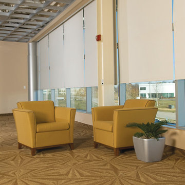 Roller Shades for Waiting Room