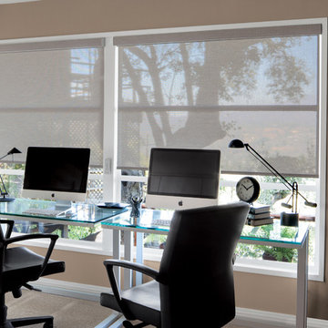 Smith & Noble Roller Shades