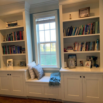 Study Bookshelves Built-in