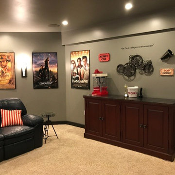 Arcade- Movie Room- renovation
