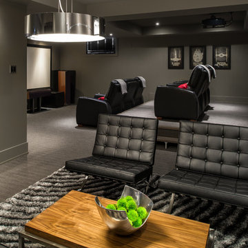 Basement Home Theatre and Lounge
