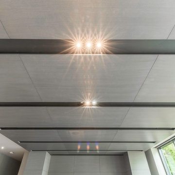 Ceiling Panels Add Flair