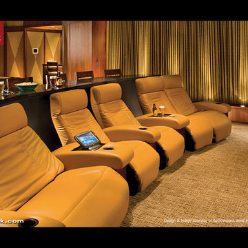 Cineak Fortuny in Home Theater by Audio Visions