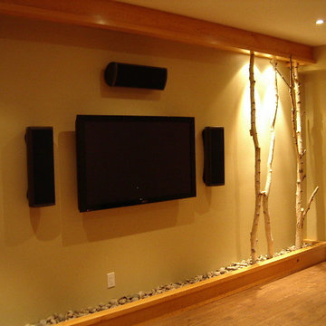 Contemporary Media Room