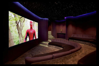 Стильный дизайн: большой изолированный домашний кинотеатр в стиле модернизм с коричневыми стенами, ковровым покрытием, телевизором на стене и коричневым полом - последний тренд