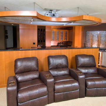Home Theatre and Bar
